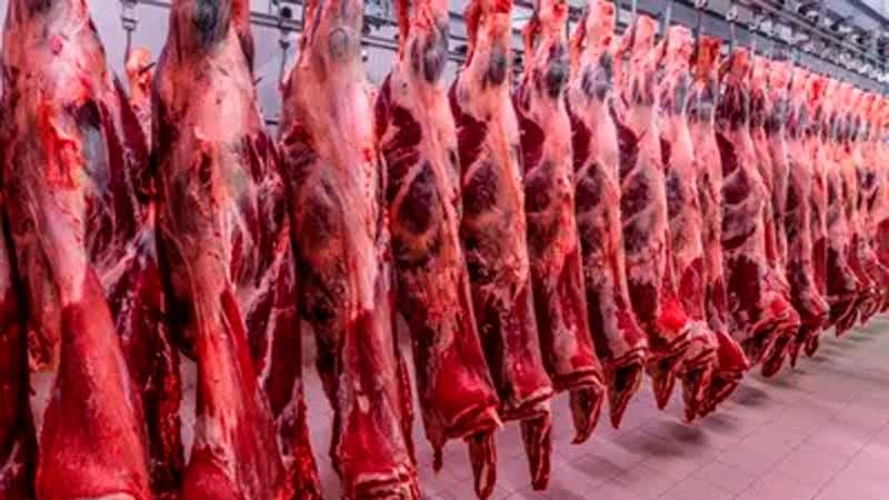 Foto: Divulgação/Mapa